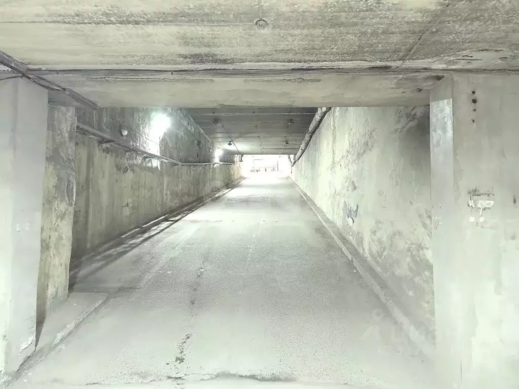 Гараж в Новосибирская область, Новосибирск Выборная ул., 125/3 (6950 ... - Фото 0