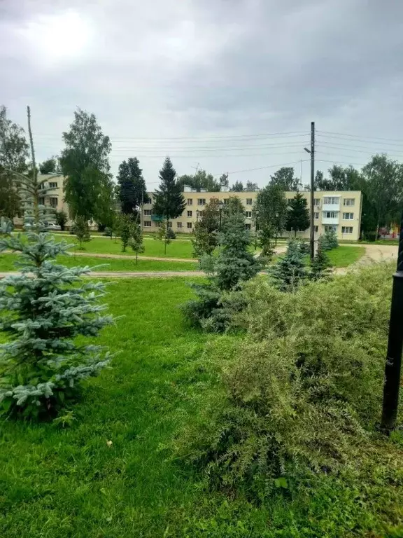 2-к кв. Нижегородская область, Нижний Новгород д. Прокошево, ул. ... - Фото 1