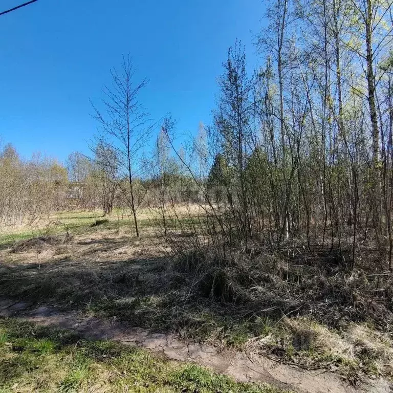 Участок в Вологодская область, Вологда Медик садоводческое ... - Фото 1