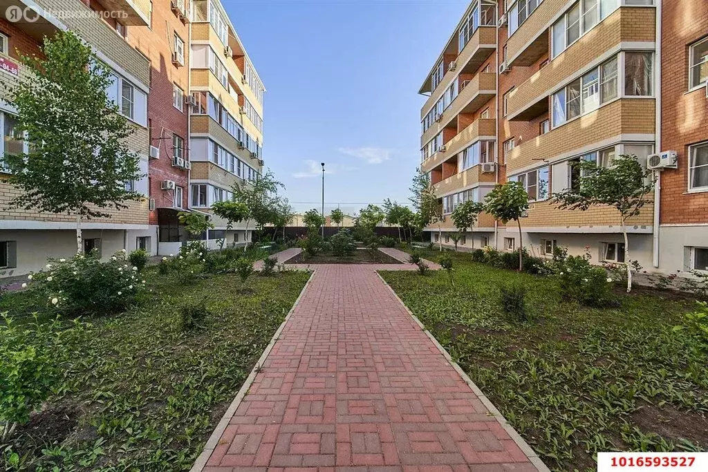 Квартира-студия: Краснодар, посёлок Российский, улица имени В.М. ... - Фото 2