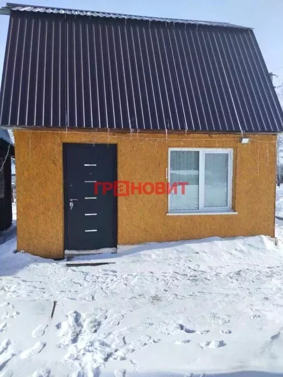 Дом в Новосибирская область, Коченевский район, Ясень СНТ 280 (45 м) - Фото 1