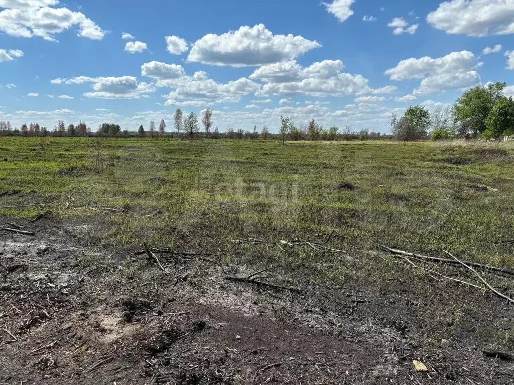 Участок 9 сот. (СНТ, ДНП) - Фото 0