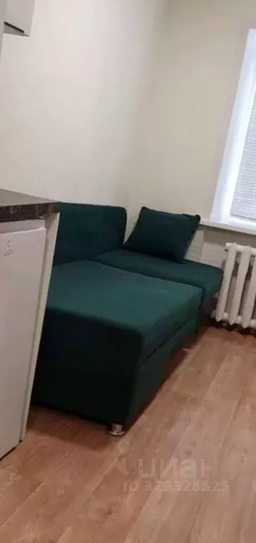 Студия Новосибирская область, Новосибирск ул. Блюхера, 36 (11.0 м) - Фото 2