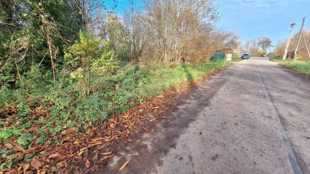 Участок в Калининградская область, Зеленоградский муниципальный округ, ... - Фото 2