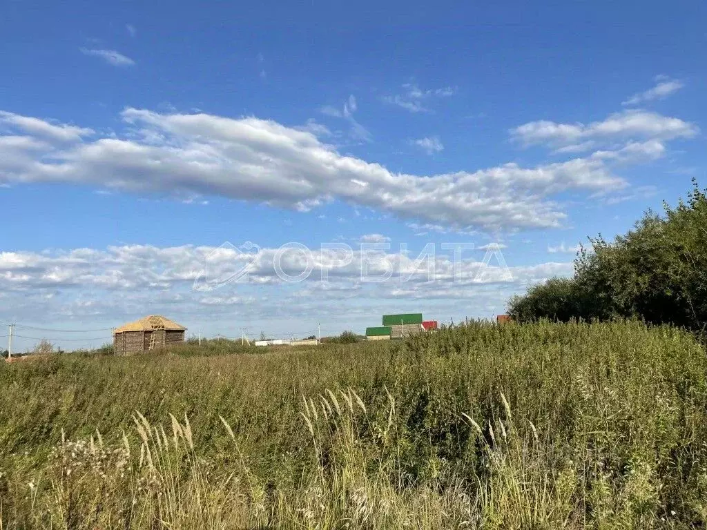 Участок в Тюменская область, Тюмень На Липовом кп, ул. Николая Егорова ... - Фото 1