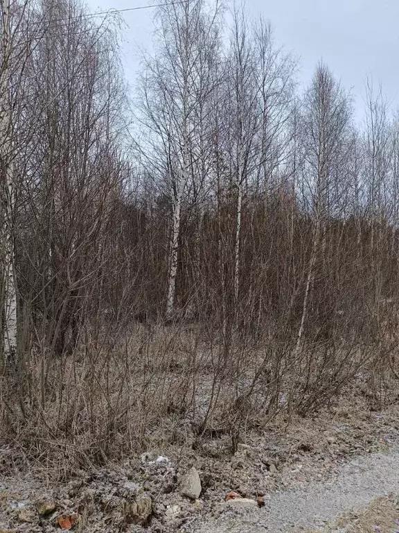 Участок в Московская область, Павлово-Посадский городской округ, д. ... - Фото 0