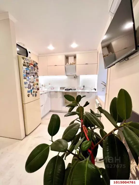 1-к кв. Краснодарский край, Краснодар Рашпилевская ул. (38.0 м) - Фото 1