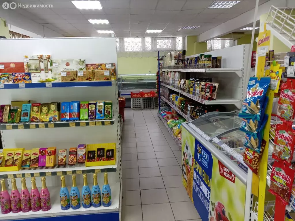 Помещение свободного назначения (366.6 м) - Фото 2