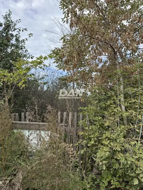 Участок в Челябинская область, Челябинск Станкостроитель-1 СНТ, 949 ... - Фото 2