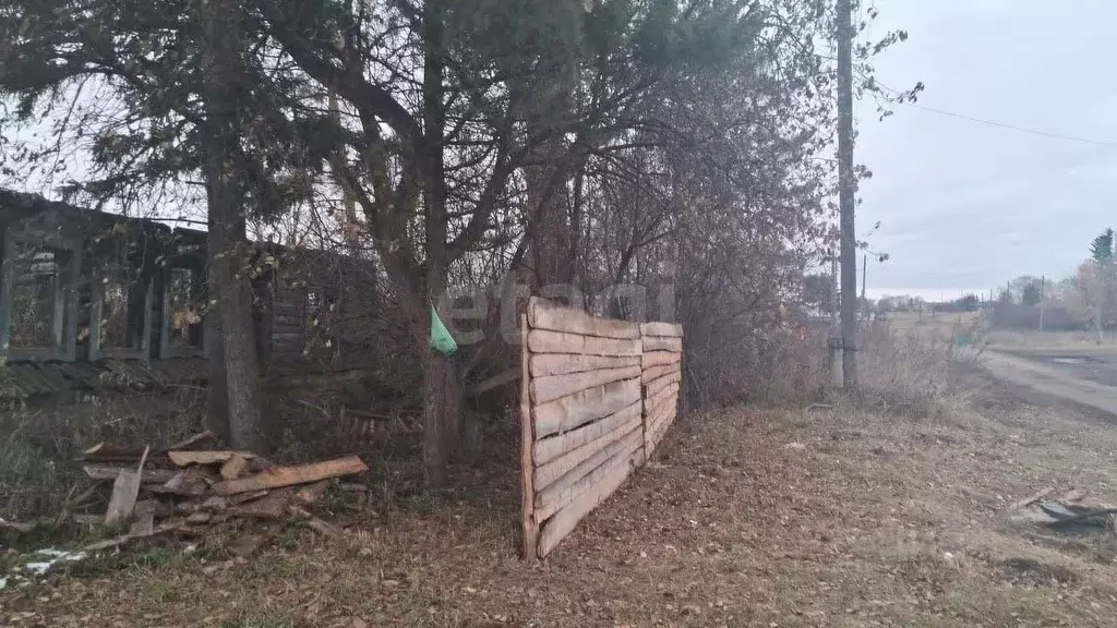 Участок в Томская область, Шегарский район, с. Бабарыкино Набережная ... - Фото 2