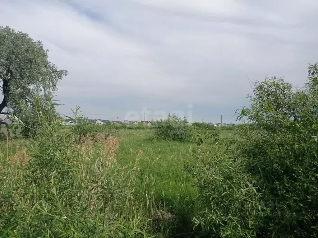 Участок в Тюменская область, Тюменский район, д. Есаулова, Клюква кп  ... - Фото 1