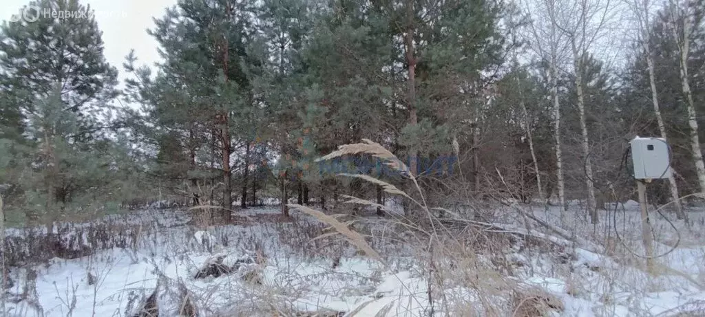 Участок в Нижегородская область, Богородский муниципальный округ, ... - Фото 0