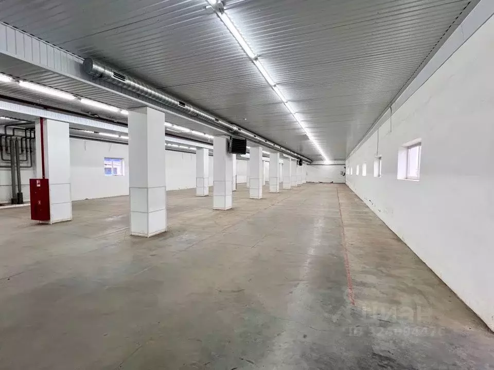 Торговая площадь в Оренбургская область, Оренбург Берды мкр, ул. ... - Фото 1