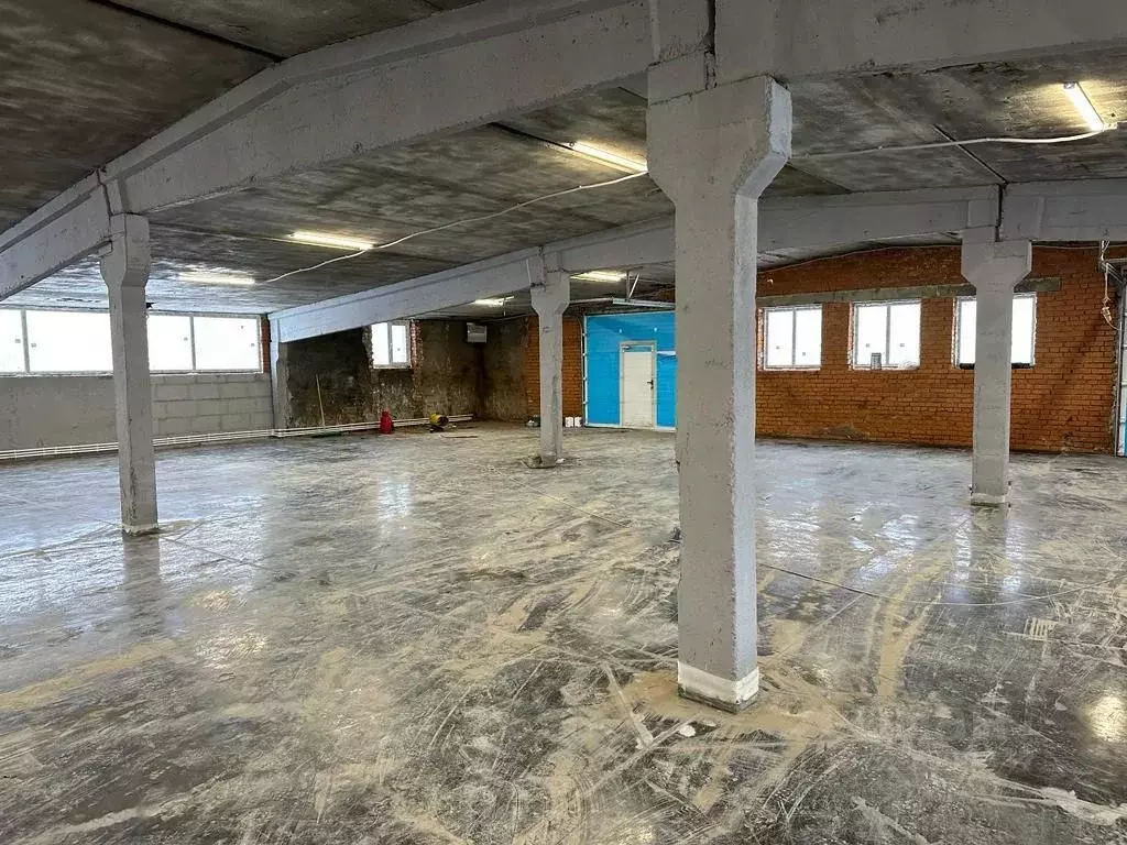 Склад в Московская область, Пушкинский городской округ, д. Митрополье ... - Фото 1