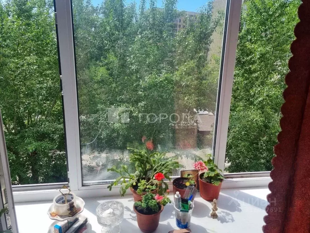 1-к кв. Алтайский край, Барнаул Молодежная ул., 2А (17.5 м) - Фото 0