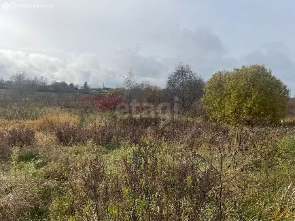 Участок в Тукса, Центральная улица (14.98 м) - Фото 2