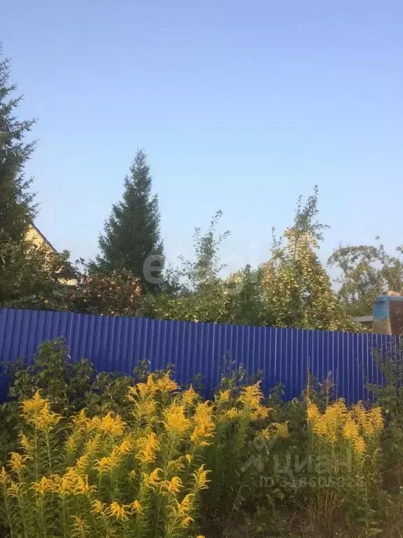 Дом в Башкортостан, Чишминский район, Алкинский сельсовет, ... - Фото 1