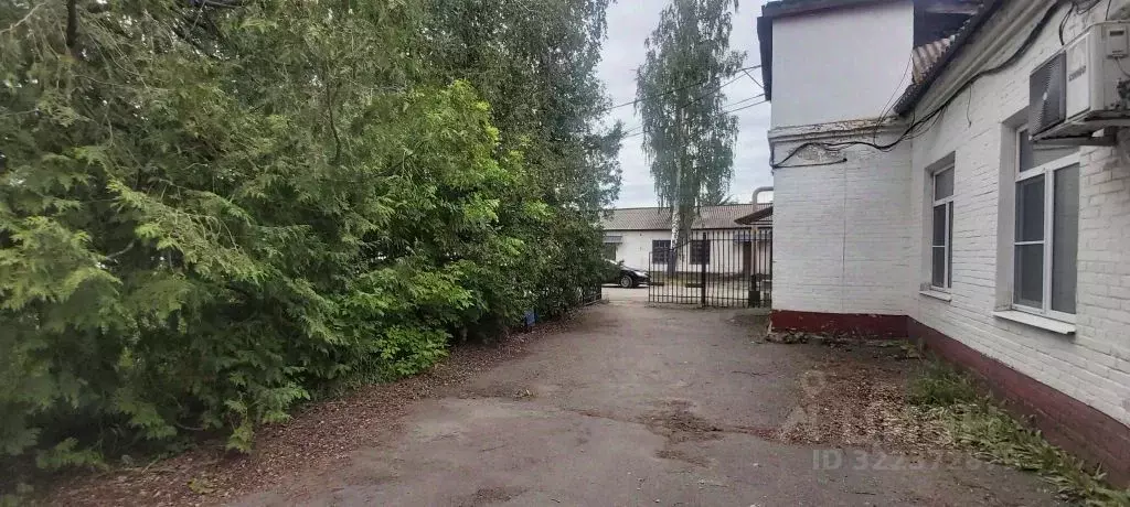 Офис в Тамбовская область, Тамбов Клубная ул., 1 (20 м) - Фото 1