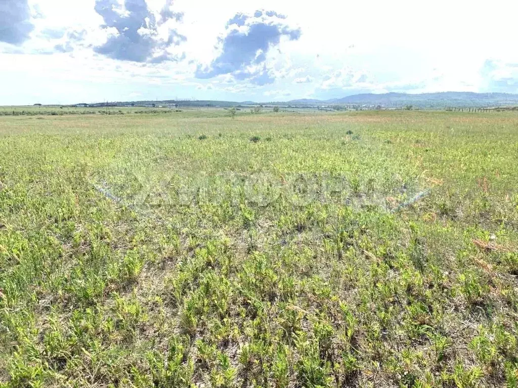 Участок в Забайкальский край, Чита ул. Бирюзовая (13.75 сот.) - Фото 0