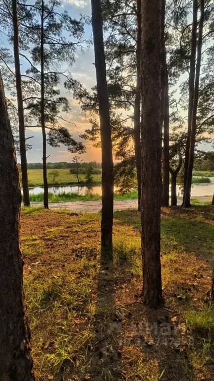 Участок в Тамбовская область, Тамбовский муниципальный округ, с. ... - Фото 1