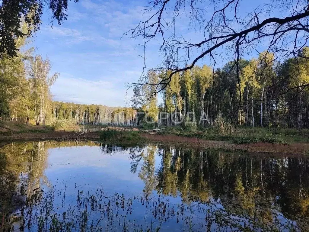 Участок в Новосибирская область, Черепановский район, с. Карагужево ... - Фото 0