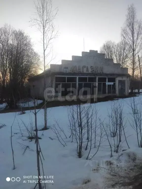 Торговая площадь в Тверская область, Весьегонский район, д. Иван-Гора ... - Фото 2