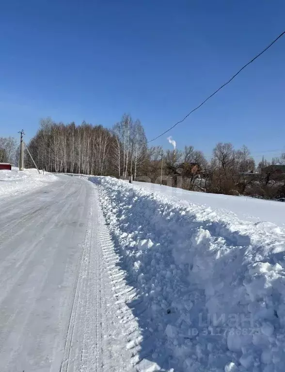 Участок в Башкортостан, Ишимбайский район, с. Петровское ул. Ленина ... - Фото 1