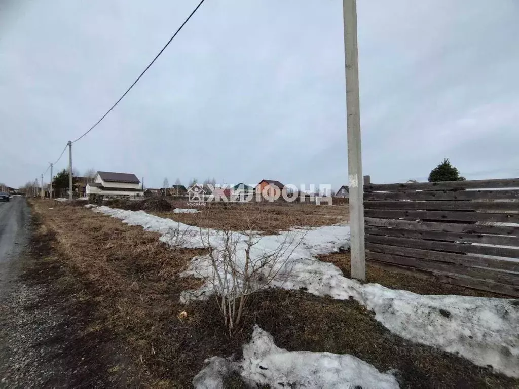 Участок в Кемеровская область, Кемеровский район, с. Андреевка ул. ... - Фото 1