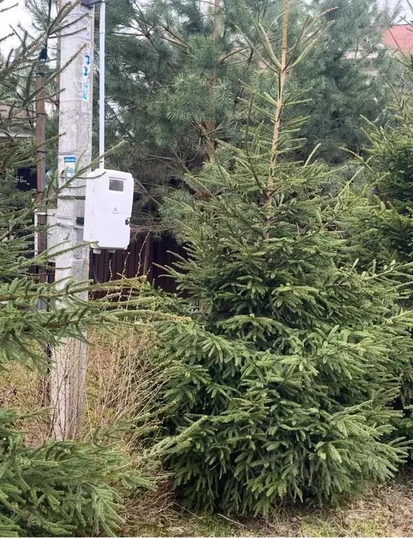 Участок в Московская область, Звенигород Одинцовский городской округ, ... - Фото 1