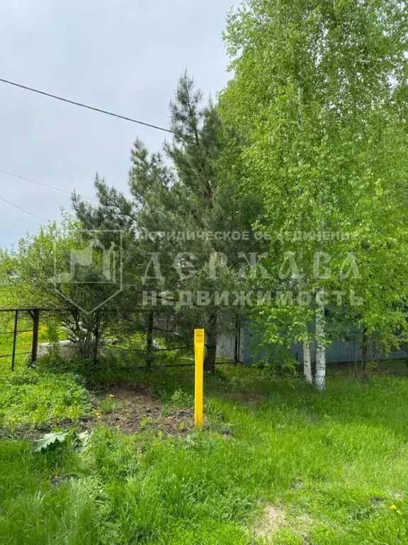 Участок в Кемеровская область, Кемеровский район, д. Пугачи Набережная ... - Фото 1