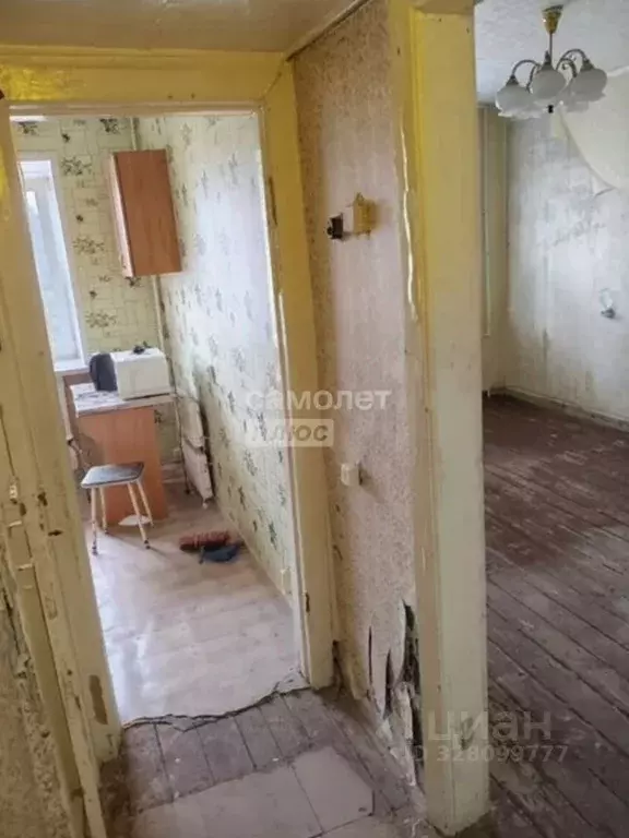 1-к кв. Липецкая область, Липецк ул. 40 лет Октября, 33Б (30.0 м) - Фото 1