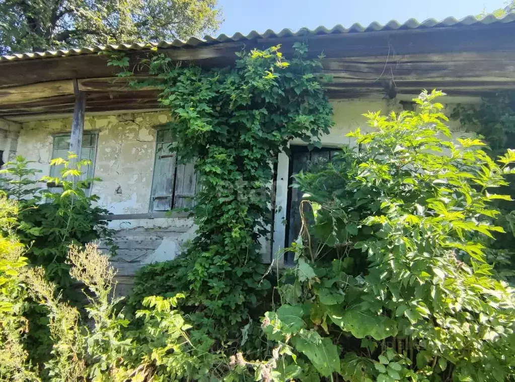 Дом в Белгородская область, Бирюч Красногвардейский район, ул. ... - Фото 1