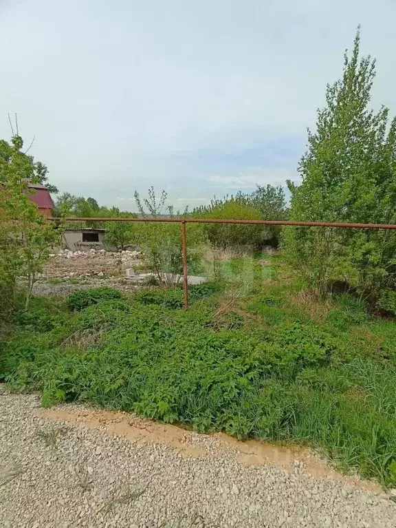 Участок в Тульская область, Тула городской округ, д. Барсуки ул. ... - Фото 2