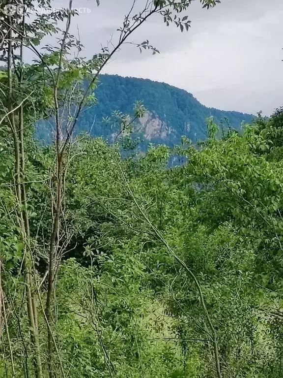 Дом в Нижегородская, Западная улица, 20 (80 м) - Фото 1