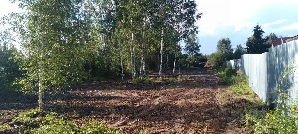 Участок в Владимирская область, Александровский район, Каринское ... - Фото 1