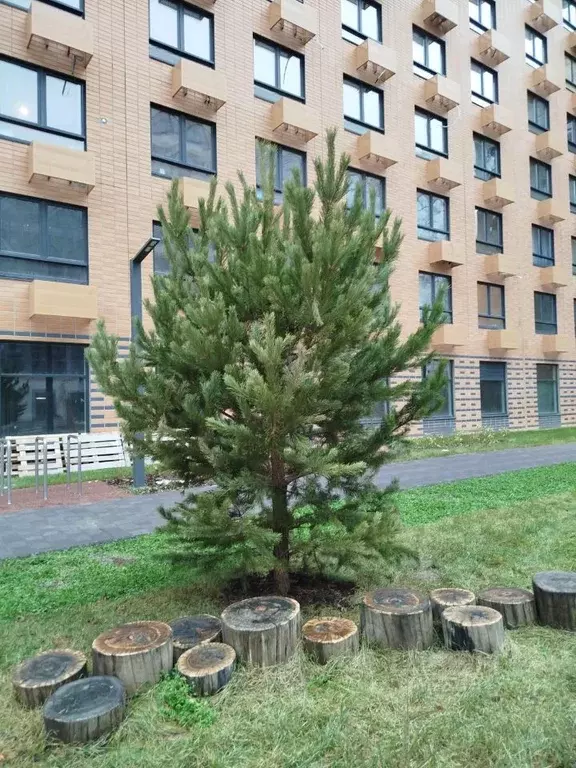 Гараж в Санкт-Петербург Лиговский просп., 242 (4 м) - Фото 1