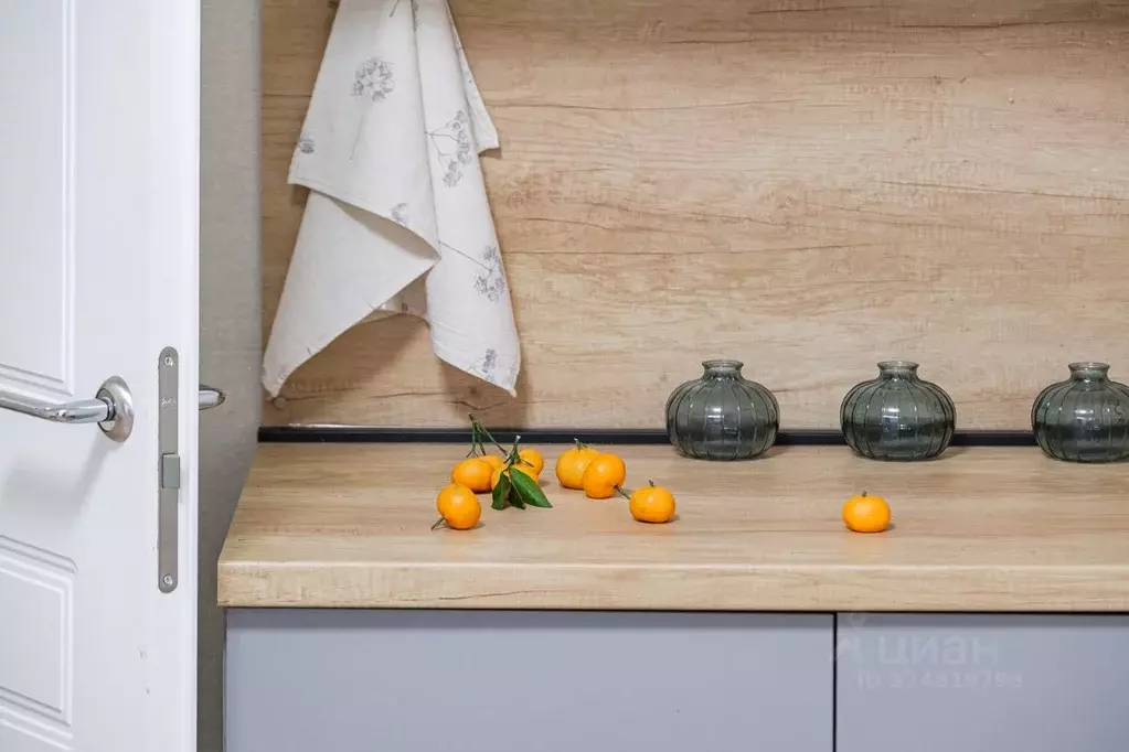 Студия Санкт-Петербург пос. Стрельна, просп. Буденного, 26к2 (26.0 м) - Фото 1