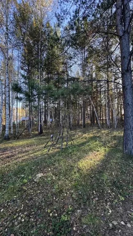 Участок в Свердловская область, Белоярский муниципальный округ, Рябина ... - Фото 2