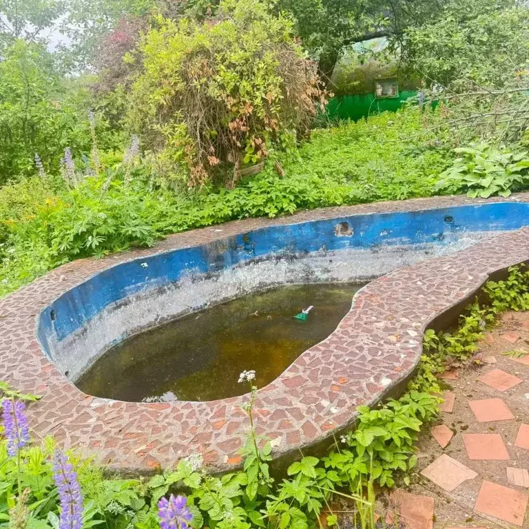 Дом в Московская область, Истра муниципальный округ, д. Манихино ул. ... - Фото 2