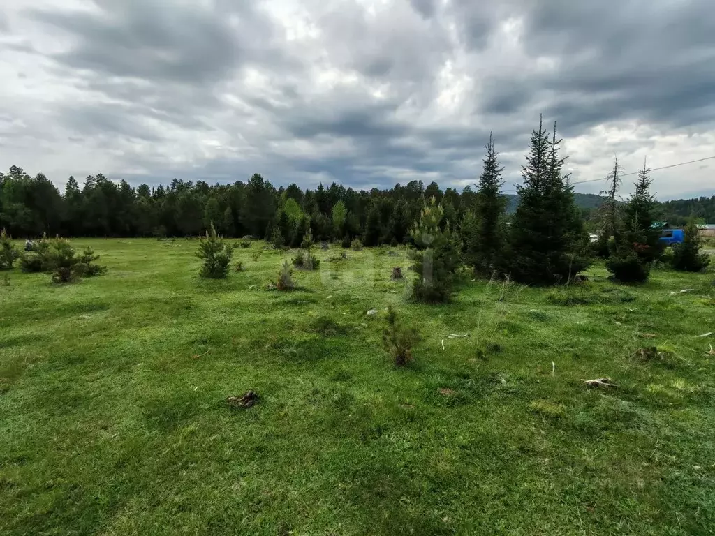 Участок в Алтай, Турочакский район, с. Турочак ул. Башунова (10.5 ... - Фото 1