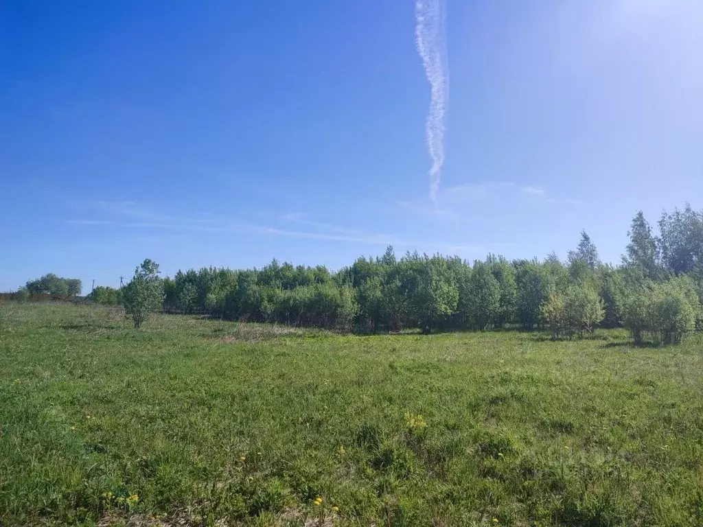 Участок в Ленинградская область, Ломоносовский район, Лопухинское ... - Фото 0