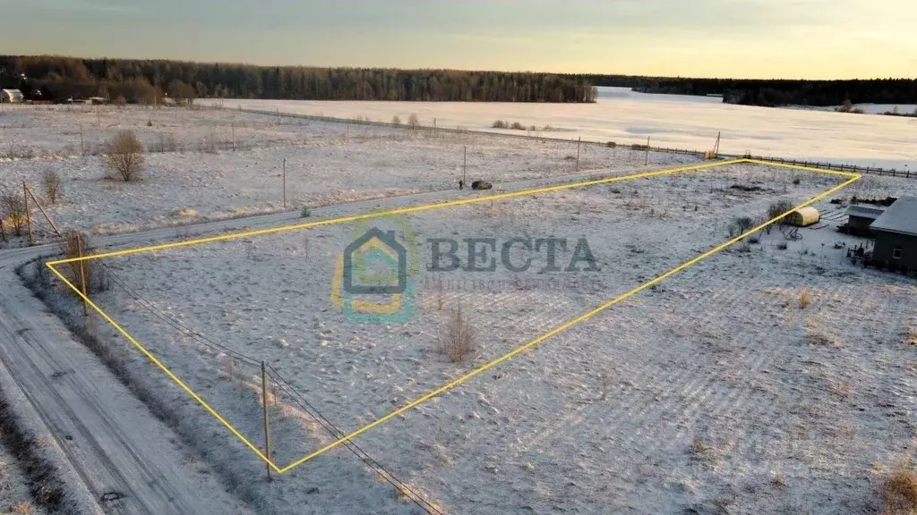 Участок в Ленинградская область, Ломоносовский район, Лопухинское ... - Фото 2