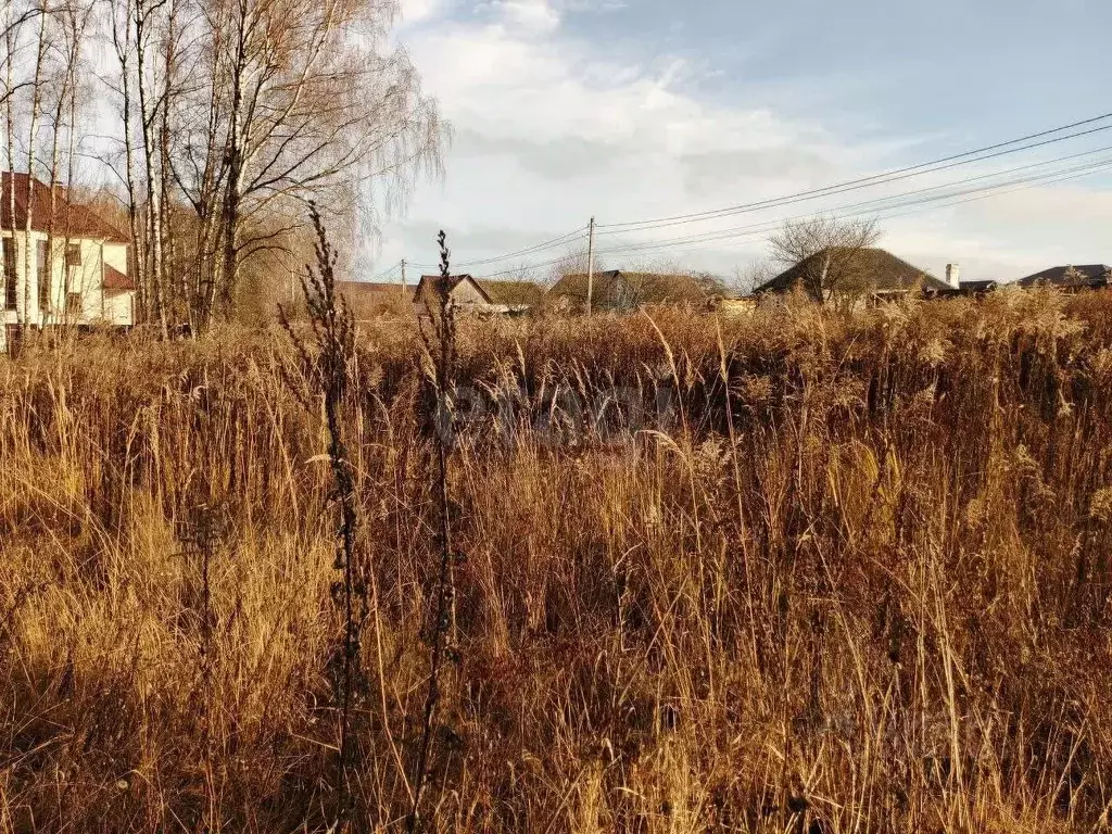 Участок в Брянская область, Брянский район, Нетьинское с/пос, ... - Фото 2