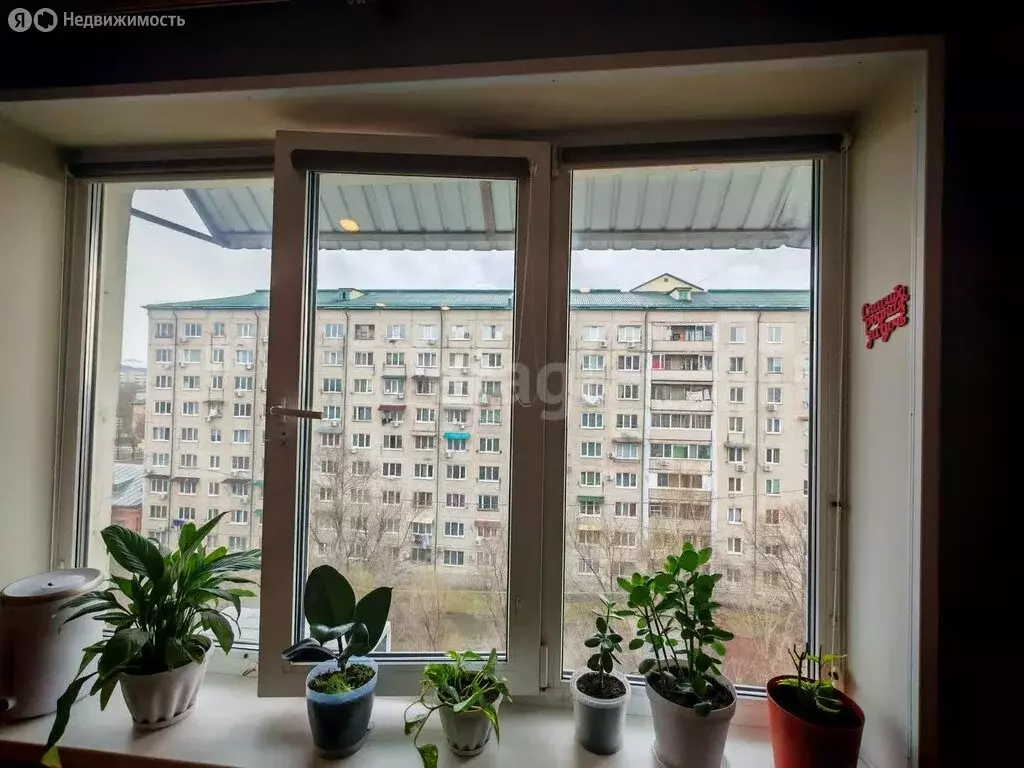 1-комнатная квартира: Арсеньев, Калининская улица, 9 (22.7 м) - Фото 0