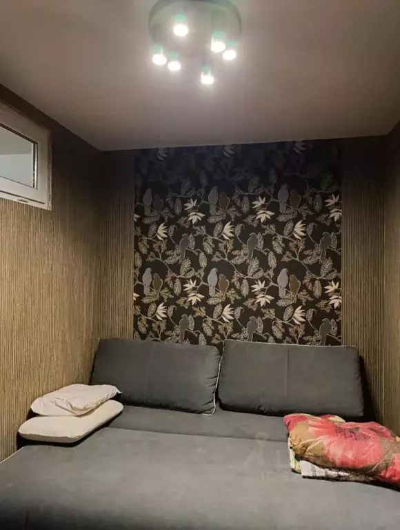 2-к кв. Краснодарский край, Сочи Вишневая ул., 26 (30.0 м) - Фото 2