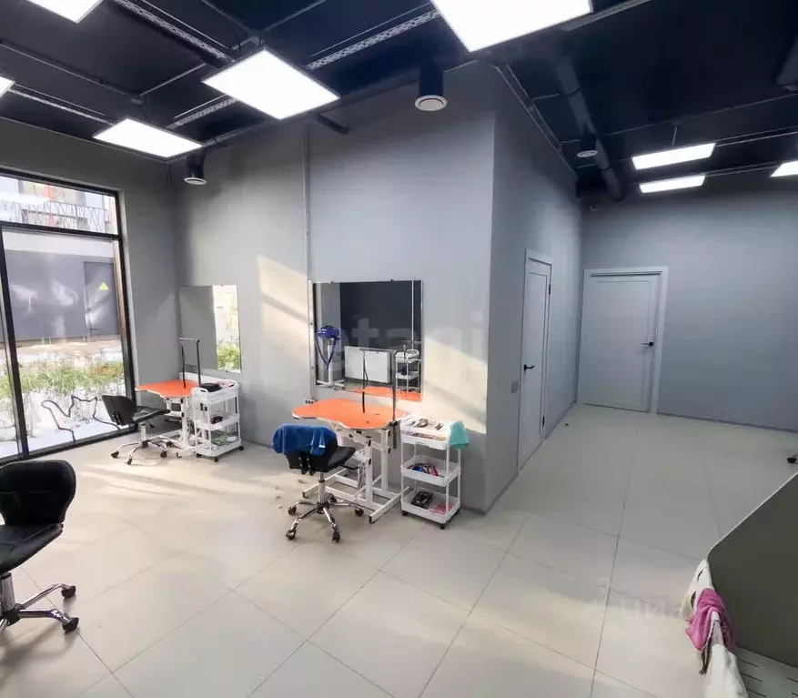 Торговая площадь в Новосибирская область, Новосибирск ул. Никитина, 10 ... - Фото 1