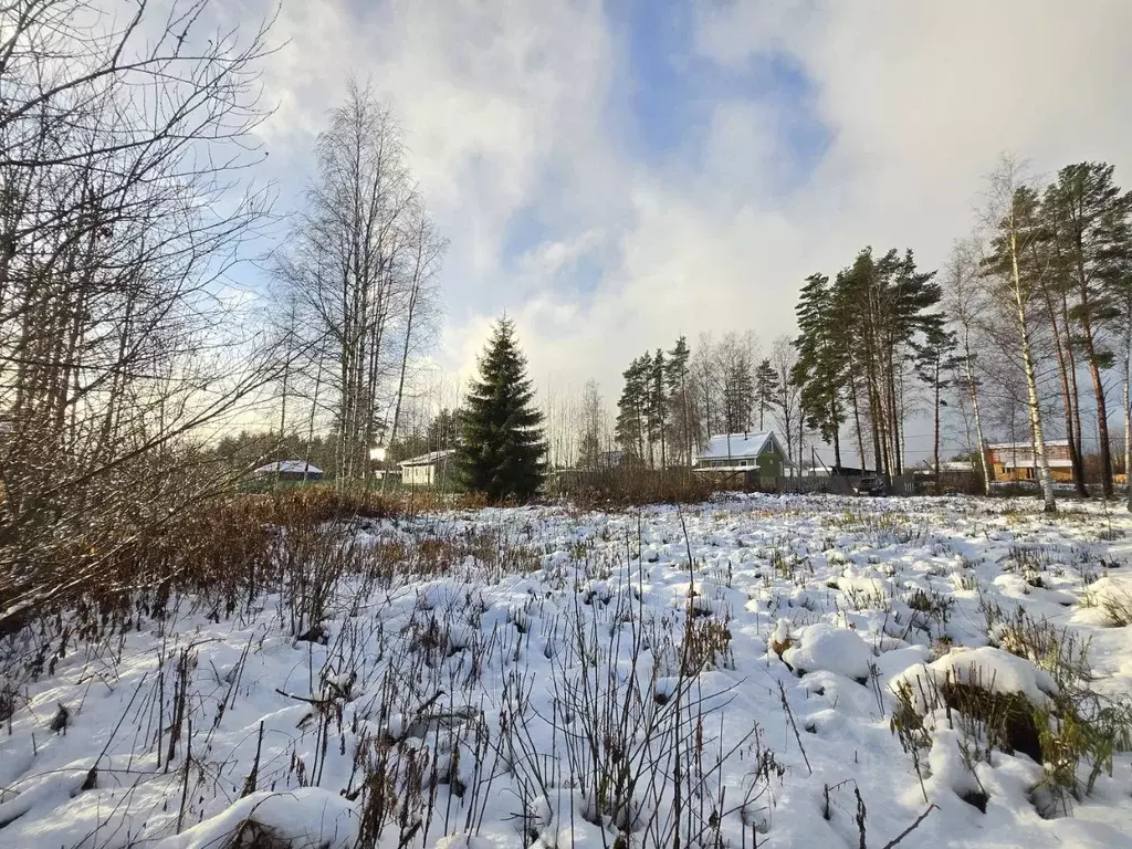 Участок в Ленинградская область, Ломоносовский район, Лебяженское ... - Фото 1