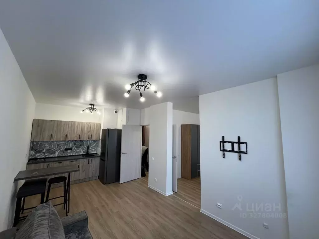 1-к кв. Московская область, Ленинский городской округ, д. Жабкино, ... - Фото 2