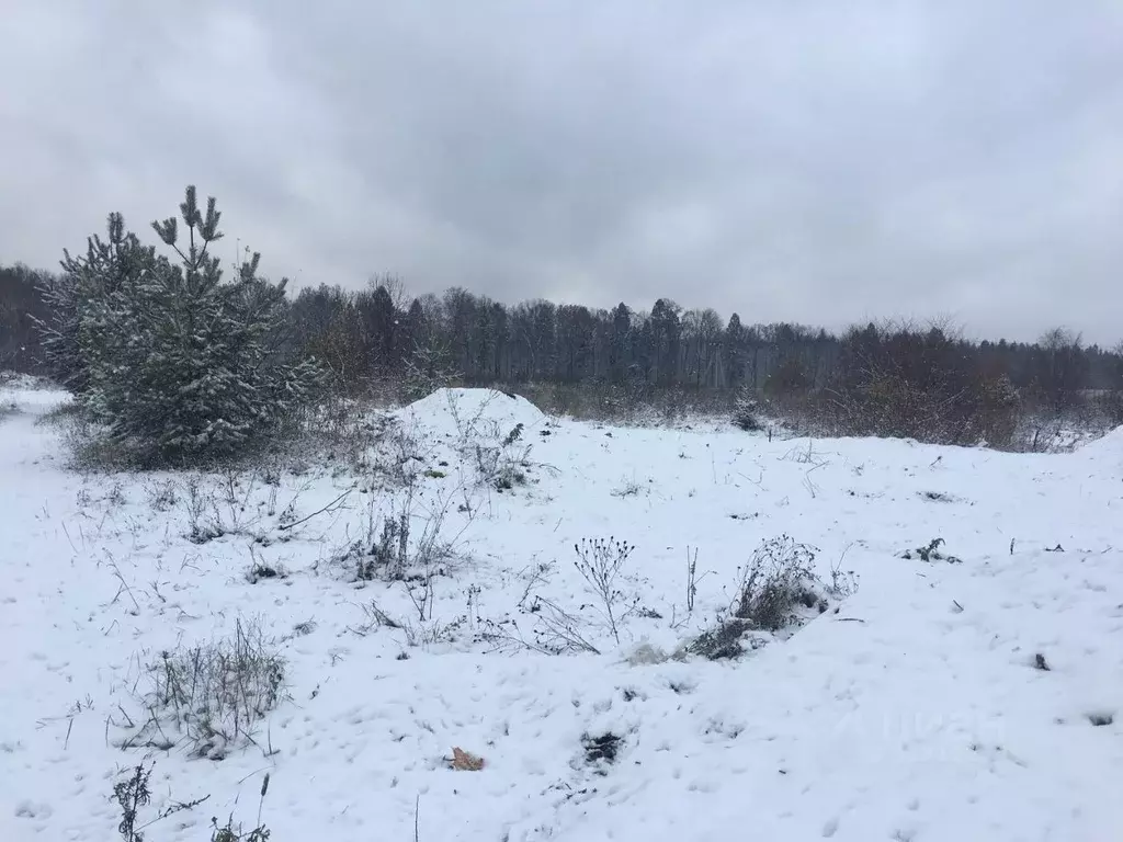 Участок в Московская область, Пушкинский городской округ, д. Цернское  ... - Фото 1