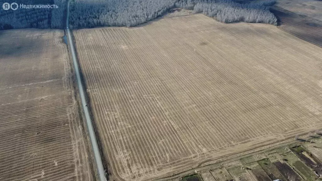 Участок в Челябинская область, Аргаяшский муниципальный округ, ... - Фото 2